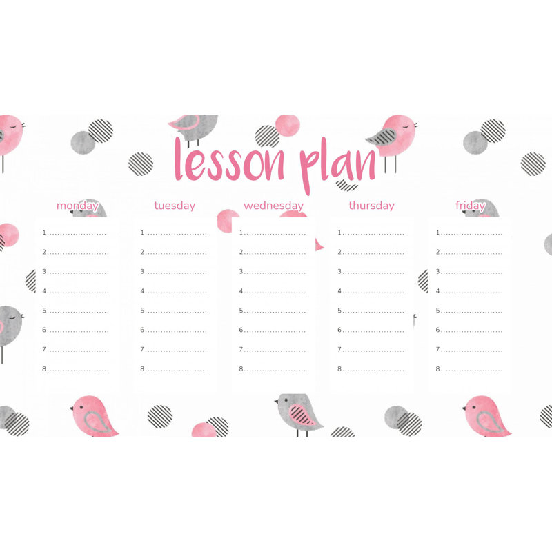 Magnetic Lesson Plan Tiny Birds