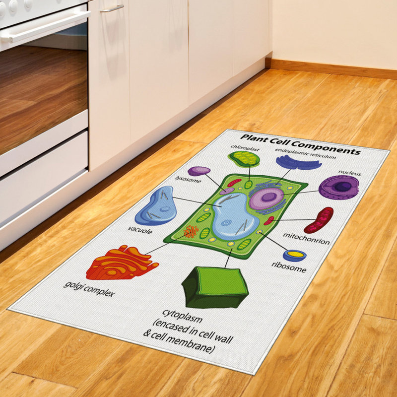 Science High Density Long Fiber Poly Threads Decorative Area Rug Carpet, Rectangle 2'7" x 5'