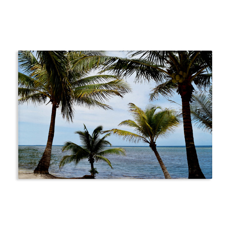 «Honduras Daytime Palms», toile par Natalie Carpentieri, H 16 po x l 24 po