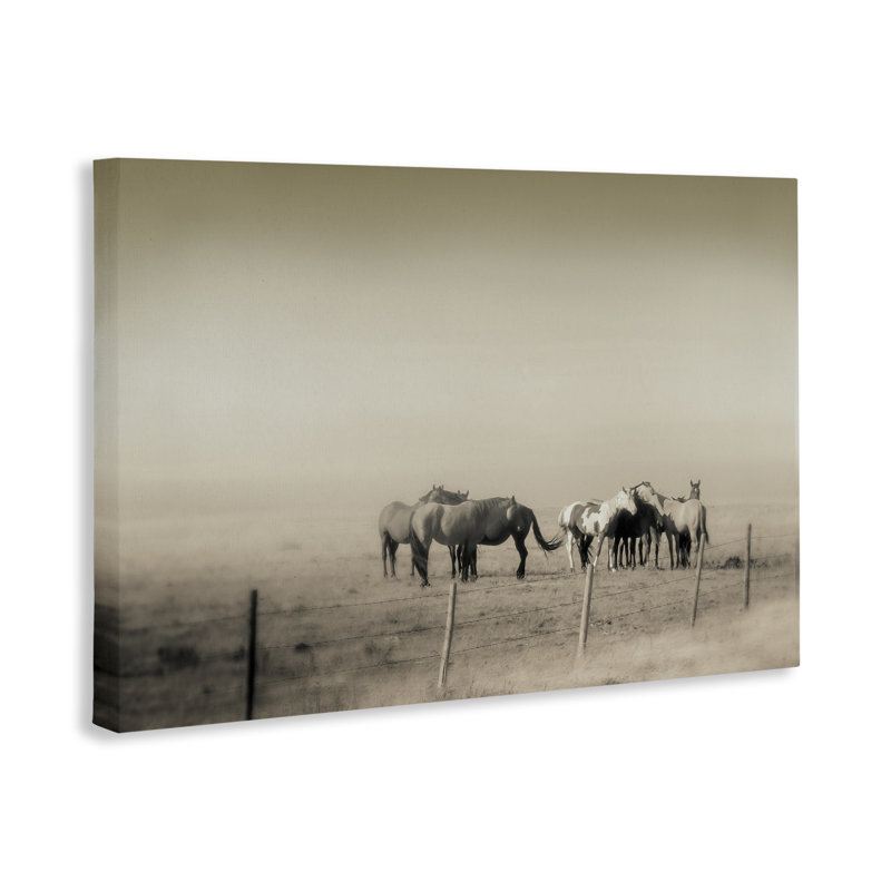 Toile monochrome The Herd, par Roberta Murray, H 20 po x l 30 po