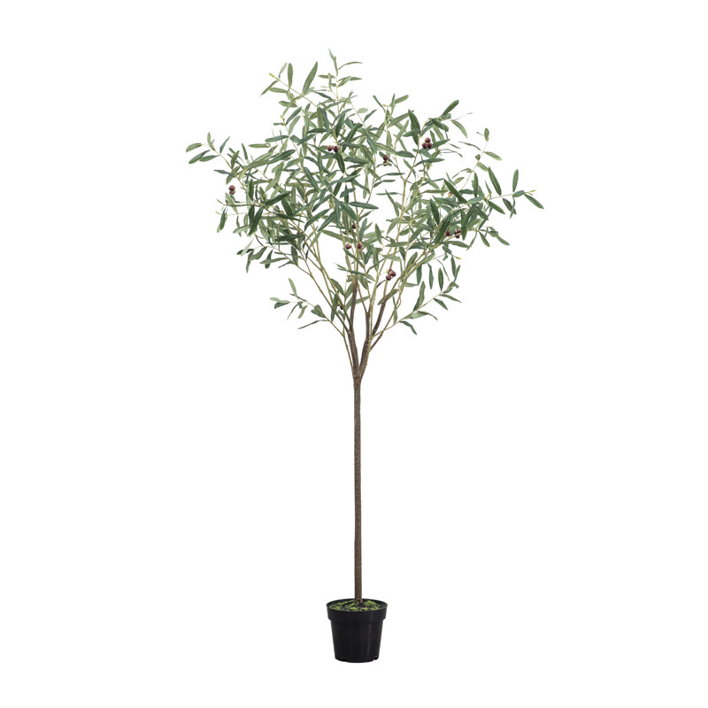 172cm Faux Olive Tree Tree in Planter, 172" H x 100" W x 18" D