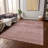 Machine Washable Indoor/Outdoor Claudian ACN1647 Blush Rug-109534733