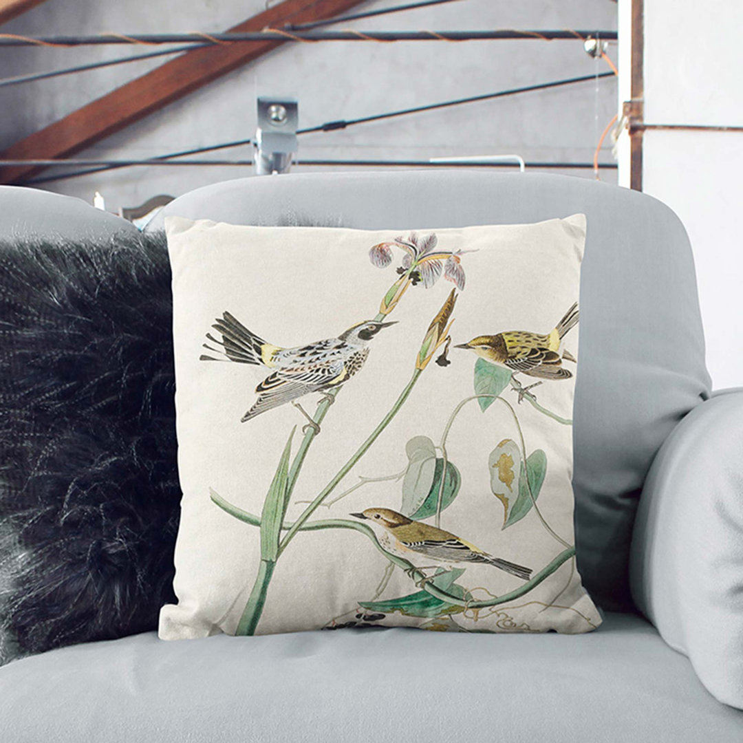 Crown Warbler Birds by John James Audubon Cushion with Filling