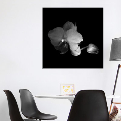 Orchid 1 Piece Wrapped Canvas Wall Art