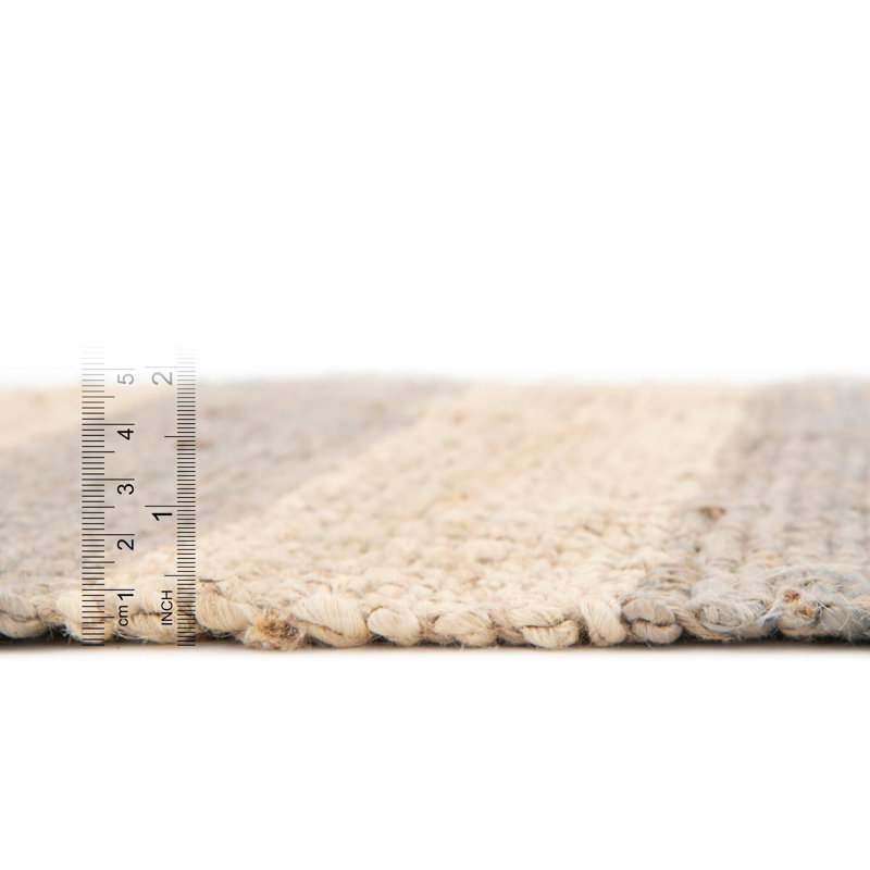 Fredric Hand Braided Striped Indoor Rug, Rectangle 7'10" x 10'