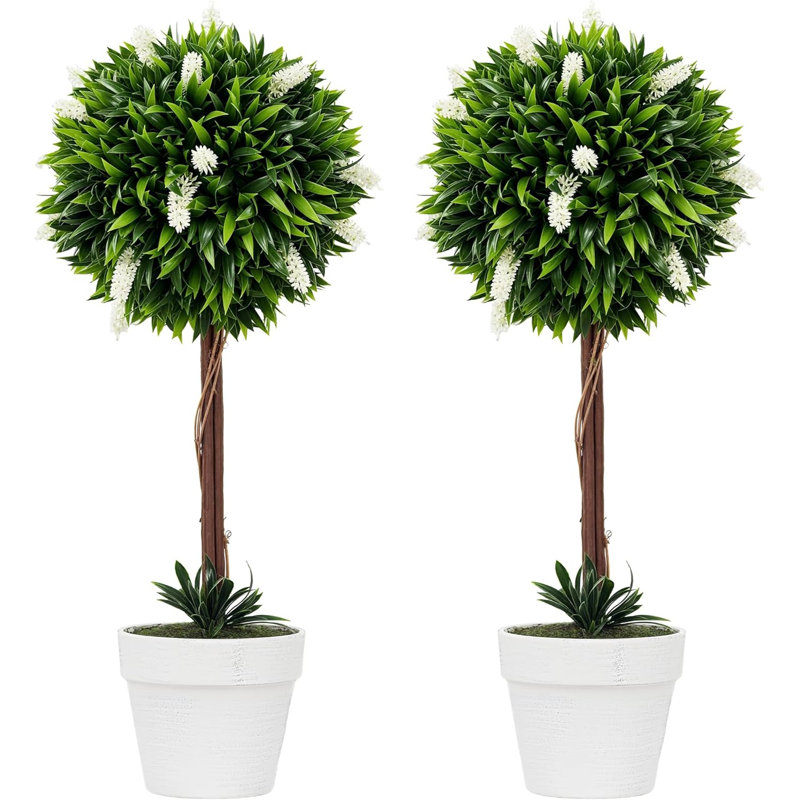 60cm Plant, White