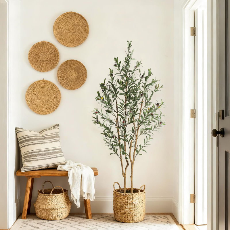 Plant