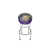 Minnesota Vikings