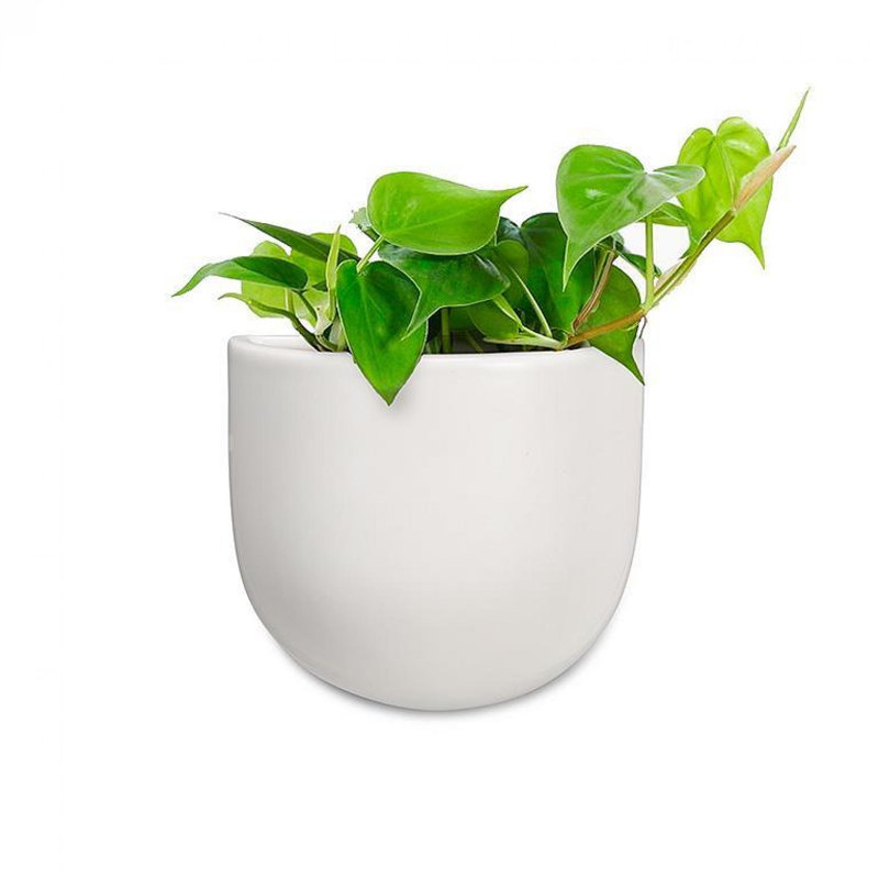 Pot de fleurs mural demi-cercle, H 4,5 po x l 5 po x P 3 po, Blanc