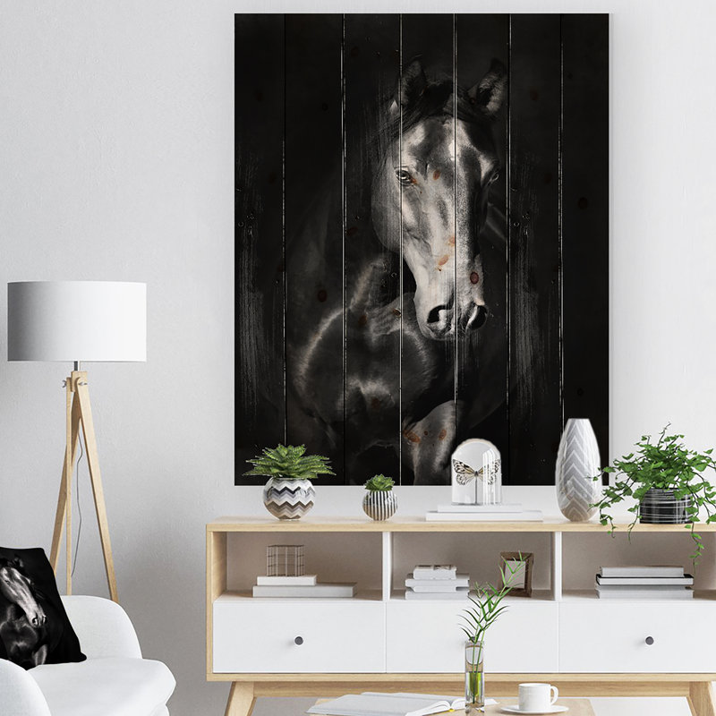Portrait d'un cheval noir dans le noir Kladruby - photographie sur, H 40 po x l 30 po x P 1 po