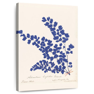 Harnek Botanical Fern III
