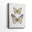 Papillons rétro I - galerie Cavas-302351401