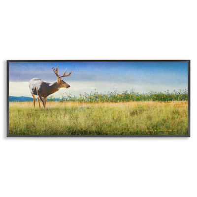 Buck Deer in Field Giclee Art by Chris Vest