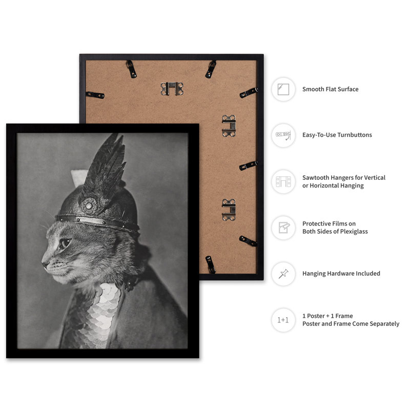 Brunnhilde le chat, 11"H x 14"W, Poster, Black Framed