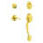 Bright Brass selected
