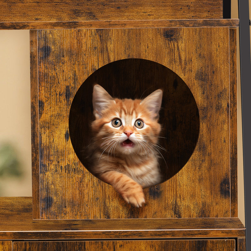 Litière pour chat avec station de charge, Brun