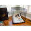 Tapis pour chien 100% lavable pardon par Snoozer-20503583-20503587