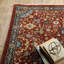 Tapis rouge / bleu Hovis-68456164