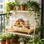 Cage pour petits animaux