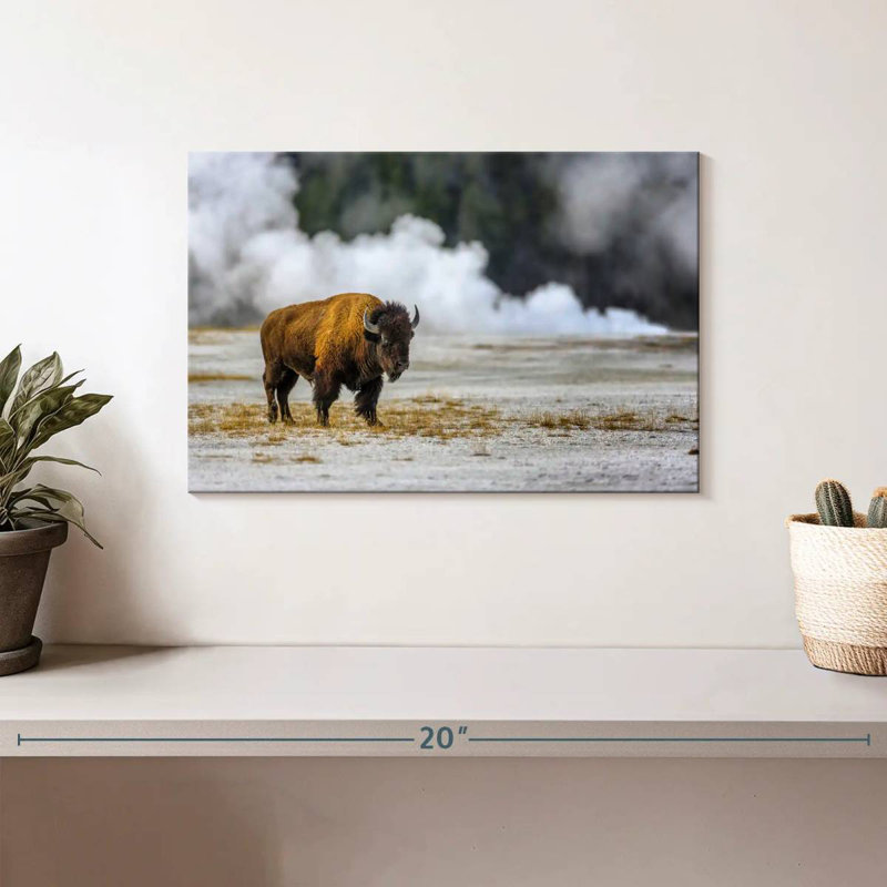 Bison du parc national de Yellowstone Brampt, H 8 po x l 12 po