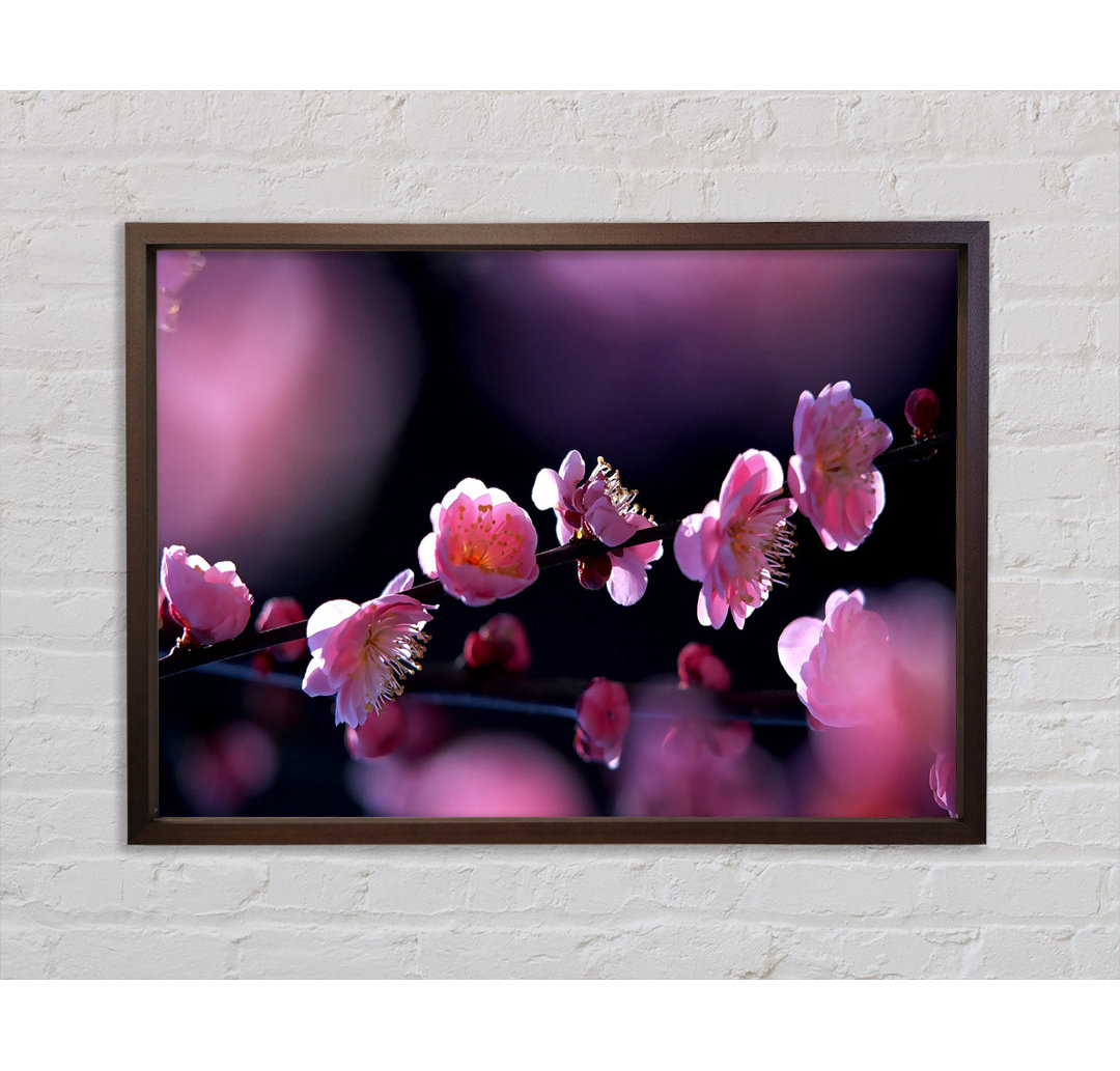 Blossom Flowers - Einzelner Bilderrahmen Kunstdrucke auf Leinwand