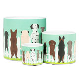 Wadebridge Ceramic Pot Planter