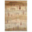 High-Quality Hand-Knotted Camel And Multi Area Rug