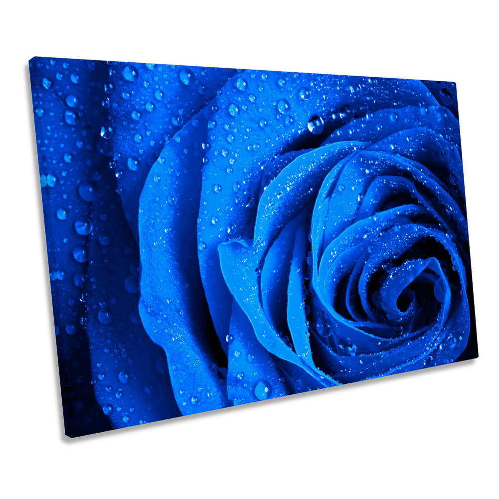 Ebern Designs Floral Rose Love Petals Flower CANVAS WALL ART Box Framed ...
