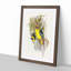 Yellow-Bellied Parakeets by Elizabeth Gould - Picture Frame Art Print-55641685-55641686