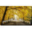 «Bridge to Fall III» par Lars Van de Goor - photographie-1376617257-1376617262