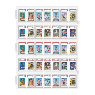 PENNZONI Baseball Card Display Case - 35 PSA Graded Card Display for Basketball & Hockey, Trading Card, Fully Acrylic
