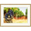 Ripening Grapes 3 Print by Nathan Turner