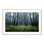 Eerie Trees IV Print by Jakob Wagner