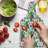 East Urban Home Glass Fruit Cutting Board