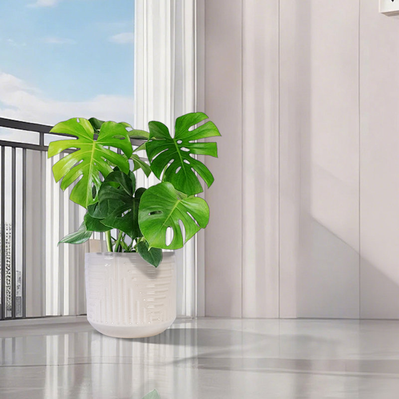 Élégant pot de fleurs en céramique blanc laiteux, idéal pour les plantes d'intérieur, hauteur de 14,58 po, pot à fleurs en forme de drain en céramique blanche, H, décor convenable et d'extérieur, givré