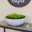 Pot de fleurs rond en polyrésine pour l'extérieur 20,75 po x 20,75 po x 11,5 po Ascend - gris - ensemble de 4-1780992737-1780992738-1833277699