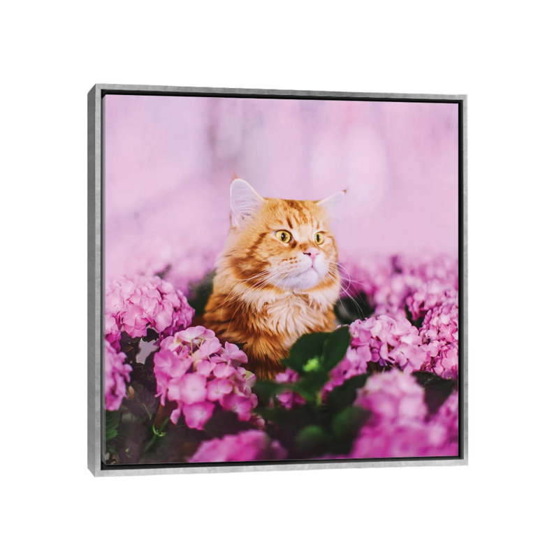 « What » par Hobopeeba-reproduction de photo, Pas de tapis, H 26 po x l 26 po x P 1,5 po, Toile avec cadre argenté