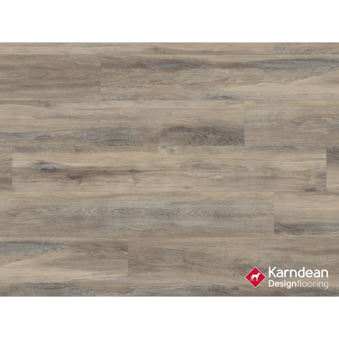 Canaletto 2mm Thick 7'' W x 48'' L Oak Vinyl Plank Karndean Designflooring 