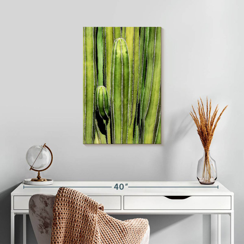 Harnek Cactus Overlay, 24" H x 16" W