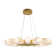 Fiori Transitional Ring Chandelier