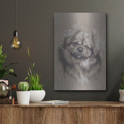 " Tibetan Spaniel " by Barbara Keith