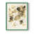 Green Framed is unavailable