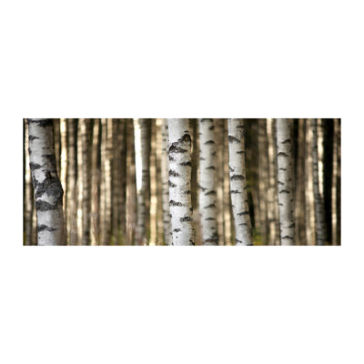 Birches - Wrapped Canvas Print