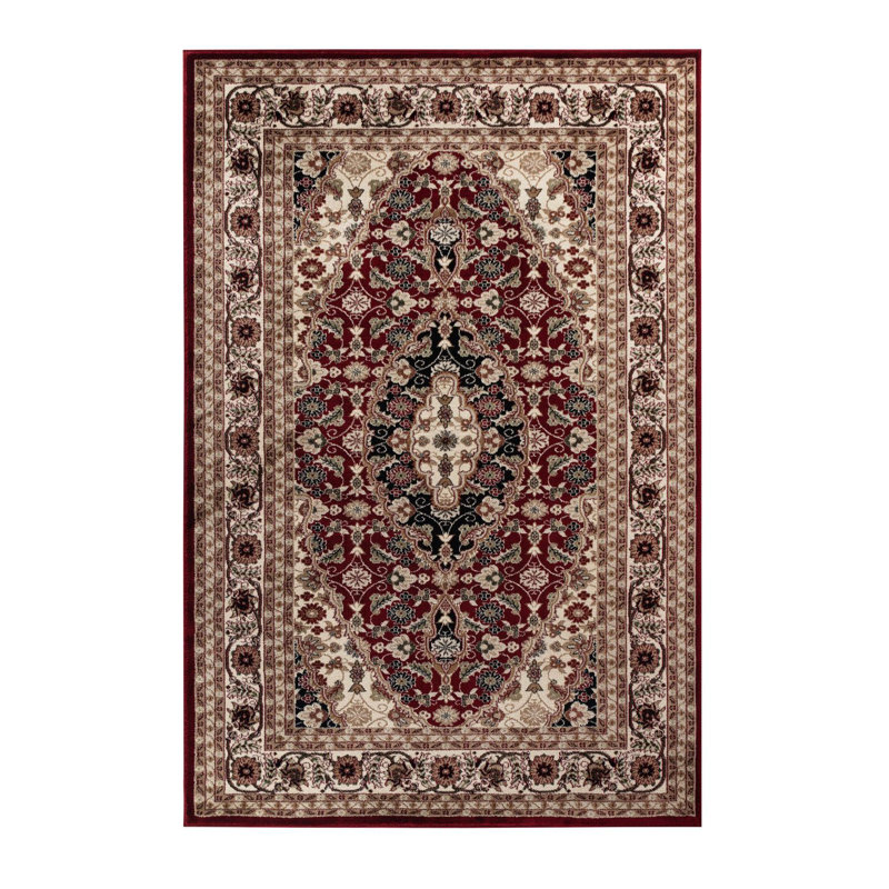 Sevanna Oriental Indoor Rug, Rectangle 3'9" x 5'9"