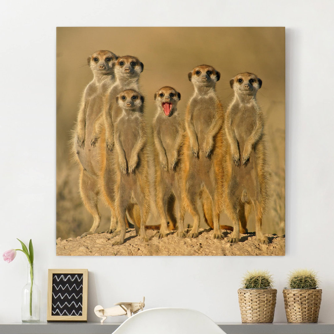 Leinwandbild Meerkat Family