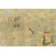 Wool Oriental Area Rug