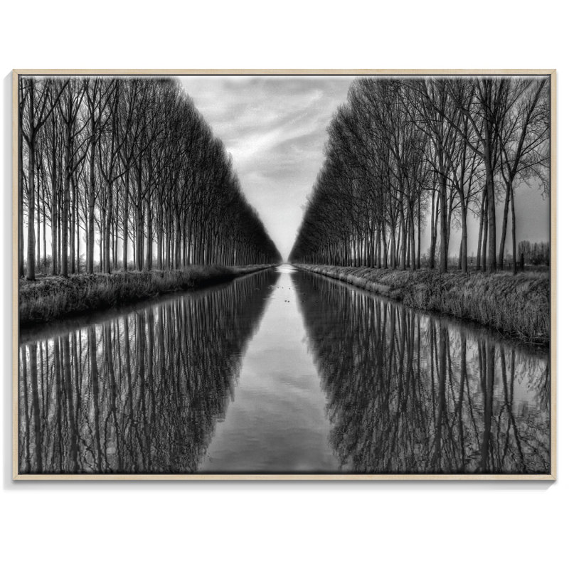 Print on Canvas, Timber, 76cm H x 102cm W