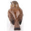 Animals Figurines & Sculptures
