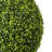 Hillside Artificial Green Boxwood Ball.-30642651