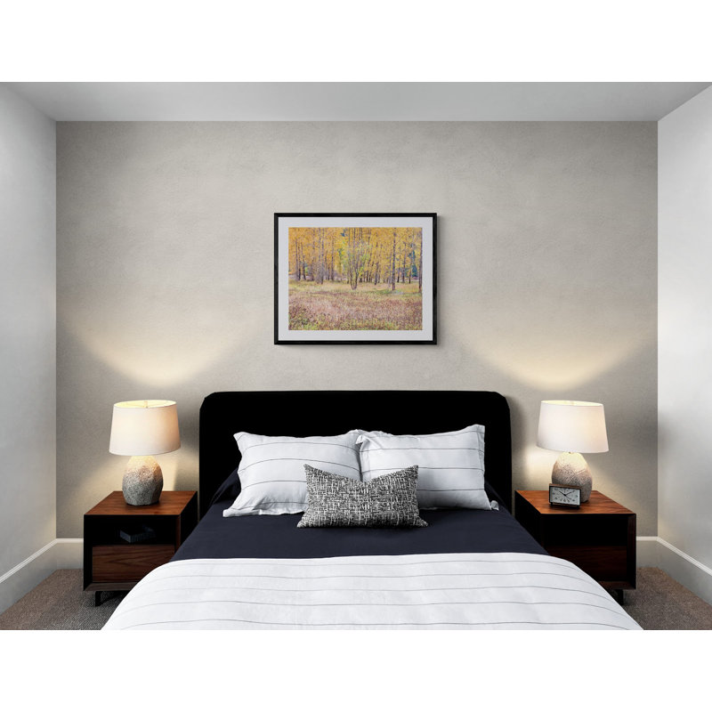 Autumn Field And Tree Grove Print by Bruce Heinemann, Wrapped Canvas, No Mat, 24" H x 32" W